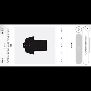 Large Dior Polo Kaws Bee